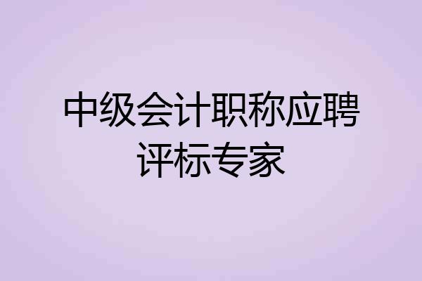 中级会计职称应聘评标专家