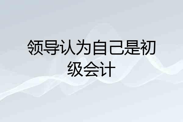 领导认为自己是初级会计