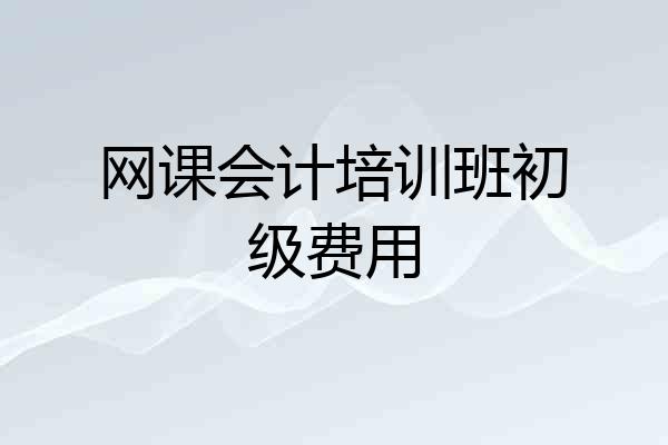 网课会计培训班初级费用