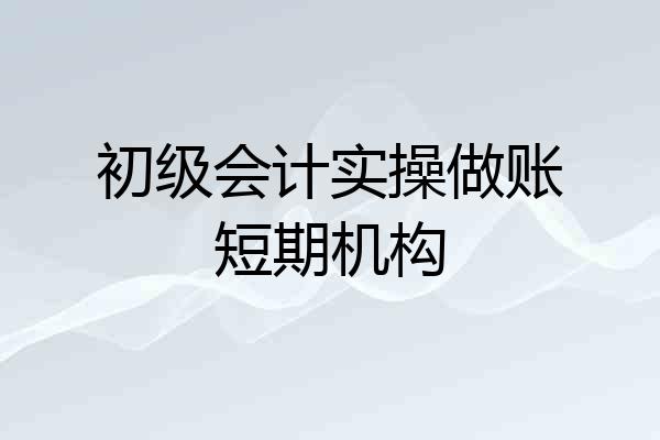 初级会计实操做账短期机构