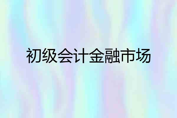 初级会计金融市场