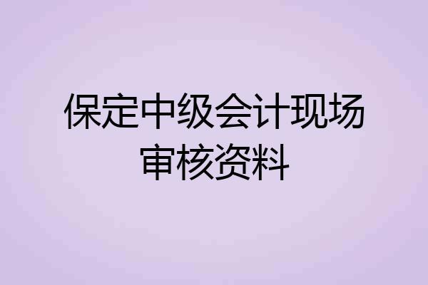 保定中级会计现场审核资料