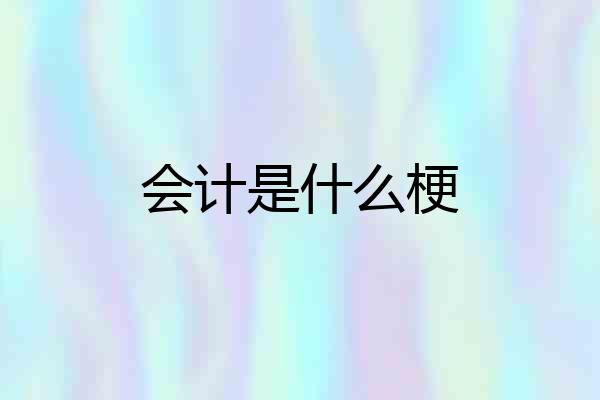 会计是什么梗