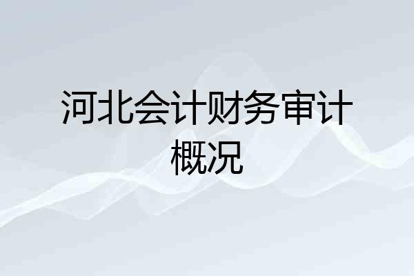 河北会计财务审计概况