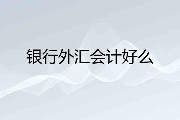 银行外汇会计好么