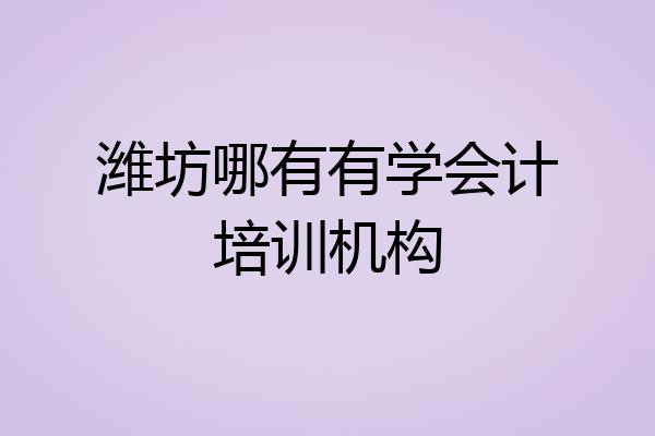 潍坊哪有有学会计培训机构