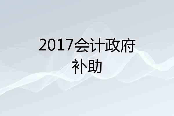 2017会计政府补助