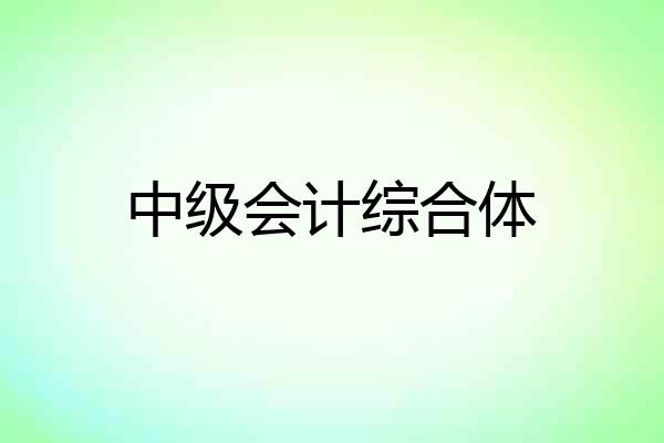 中级会计综合体