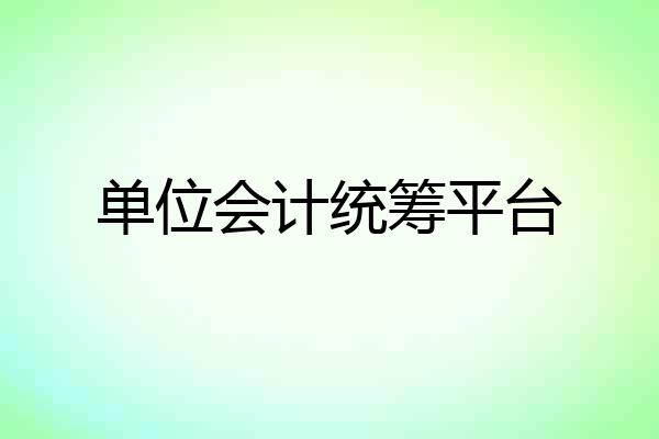 单位会计统筹平台