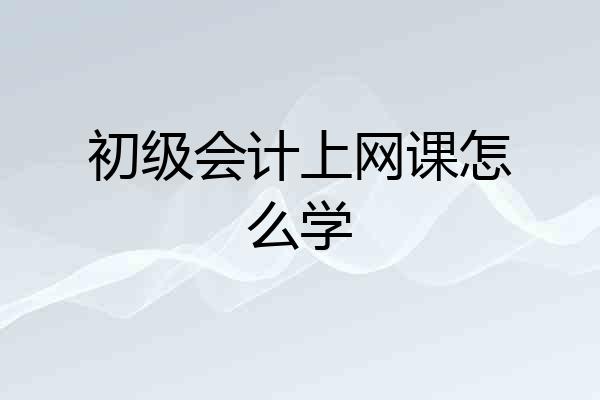 初级会计上网课怎么学