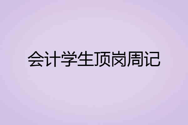 会计学生顶岗周记