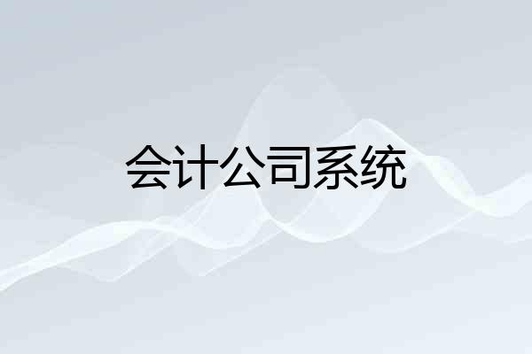 会计公司系统