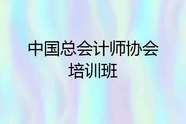 中国总会计师协会培训班