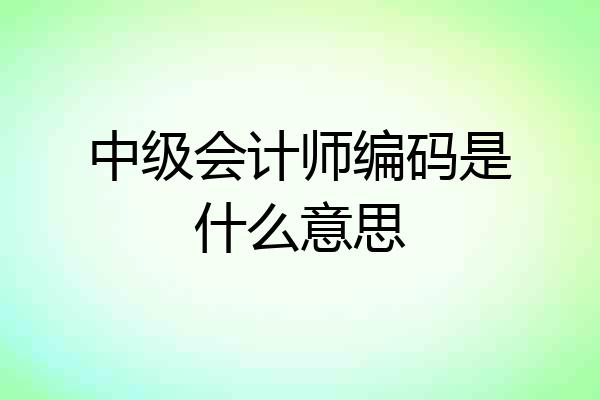 中级会计师编码是什么意思