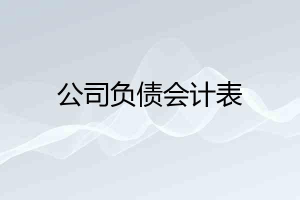 公司负债会计表