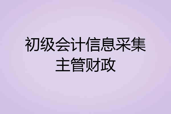 初级会计信息采集主管财政