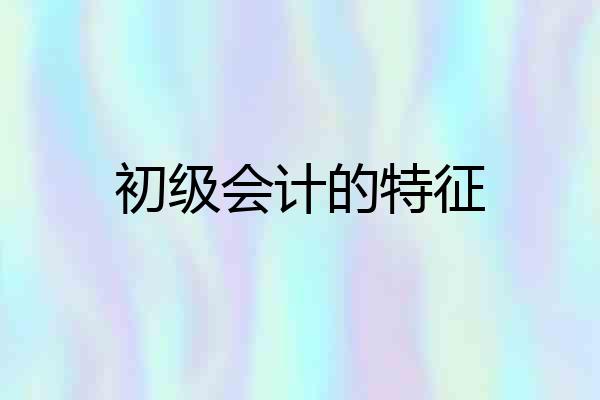 初级会计的特征
