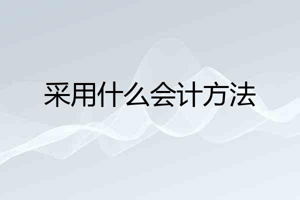 采用什么会计方法