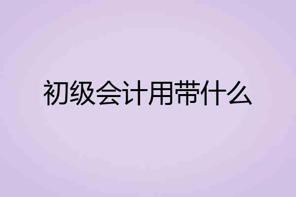 初级会计用带什么