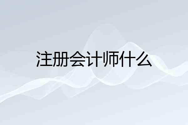 注册会计师什么