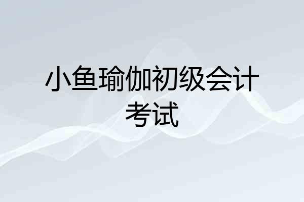 小鱼瑜伽初级会计考试