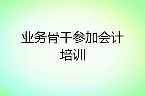 业务骨干参加会计培训