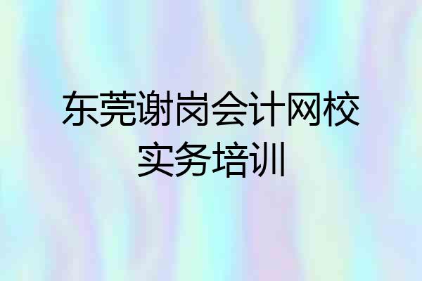 东莞谢岗会计网校实务培训