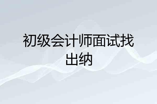 初级会计师面试找出纳