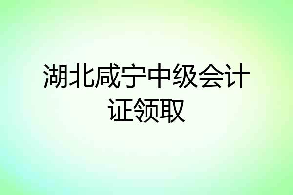 湖北咸宁中级会计证领取