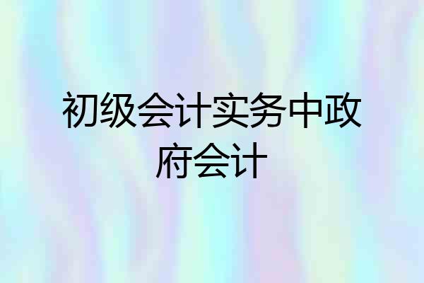 初级会计实务中政府会计