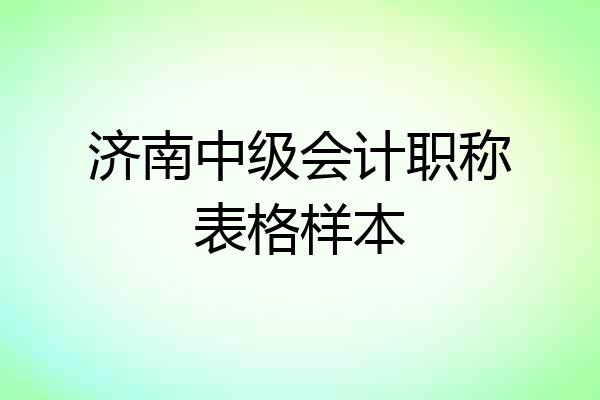 济南中级会计职称表格样本