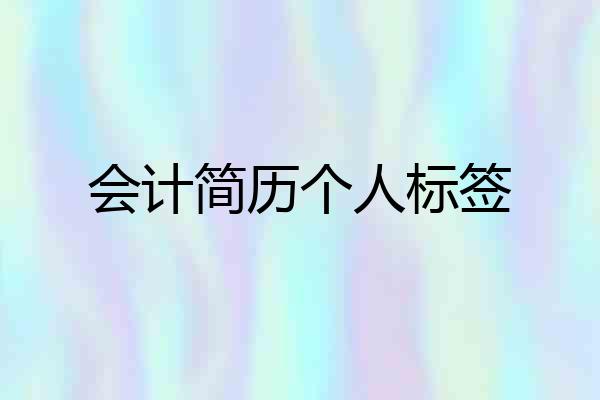 会计简历个人标签
