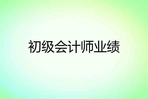 初级会计师业绩