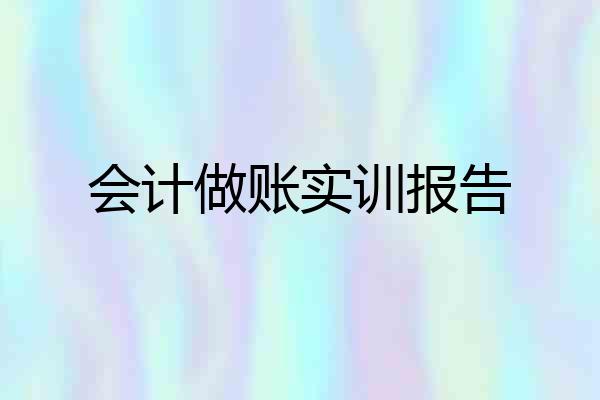会计做账实训报告