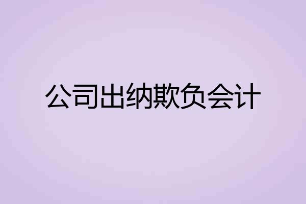 公司出纳欺负会计