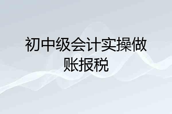初中级会计实操做账报税