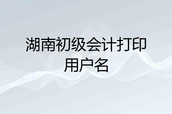 湖南初级会计打印用户名
