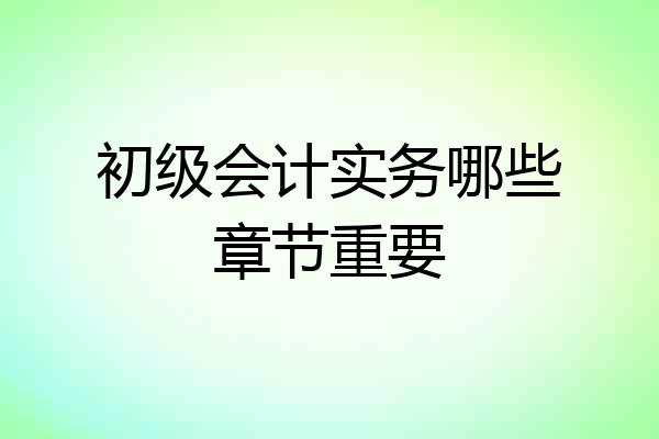 初级会计实务哪些章节重要