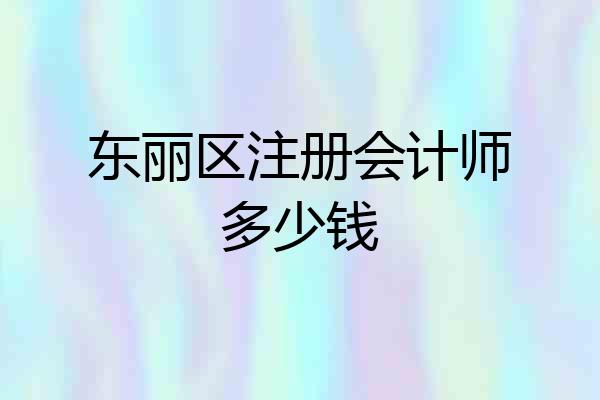 东丽区注册会计师多少钱