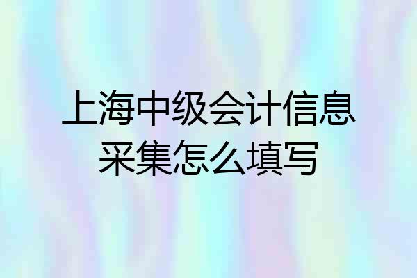 上海中级会计信息采集怎么填写