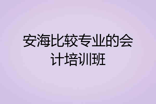 安海比较专业的会计培训班