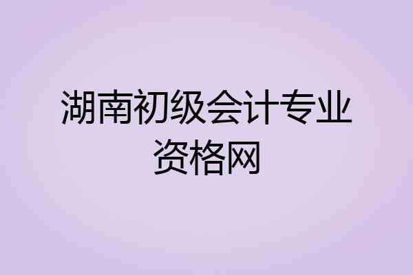 湖南初级会计专业资格网