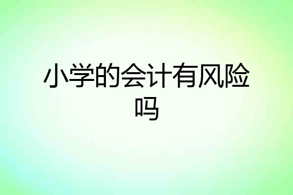 小学的会计有风险吗