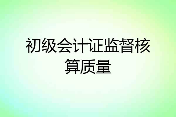初级会计证监督核算质量