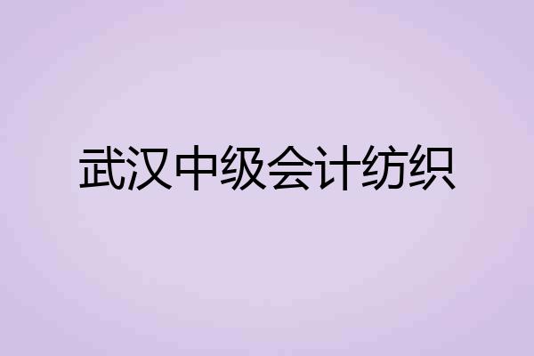 武汉中级会计纺织