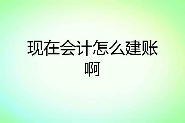 现在会计怎么建账啊