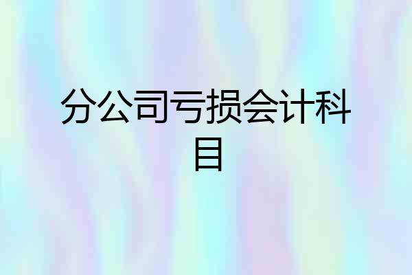 分公司亏损会计科目