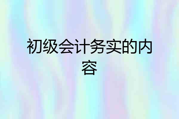 初级会计务实的内容