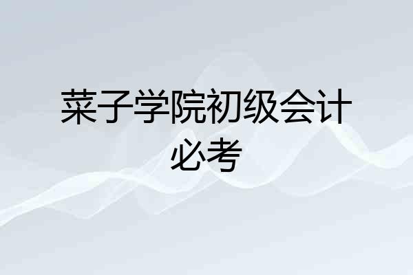 菜子学院初级会计必考