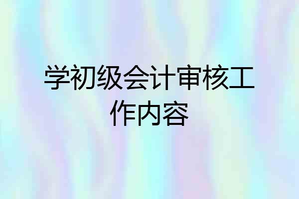 学初级会计审核工作内容